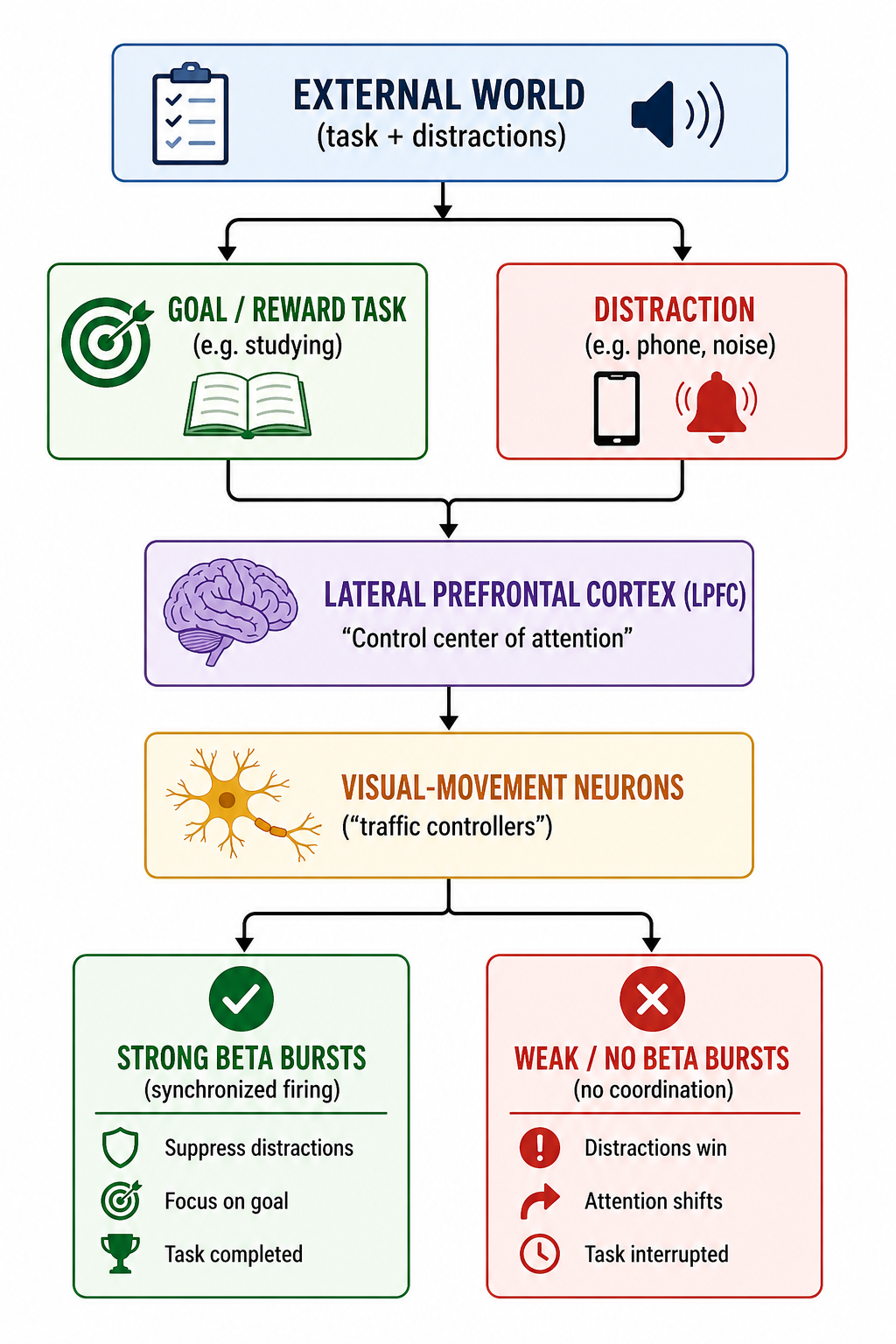 The Diagram of Maintaining Focus Using Brain Science